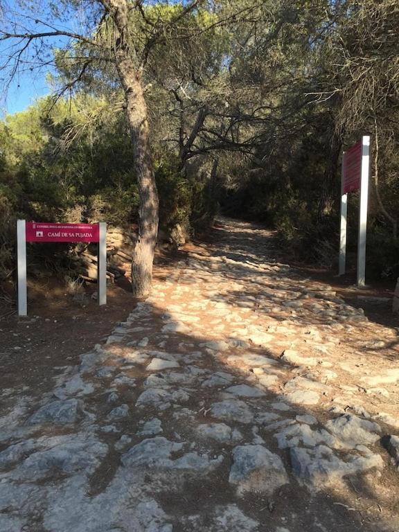 La Mundial Formentera Apartman Es Pujols Kültér fotó